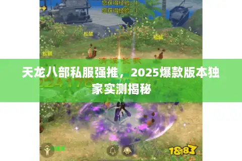 天龙八部私服强推，2025爆款版本独家实测揭秘