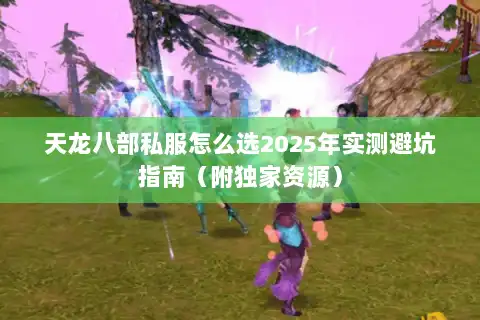 天龙八部私服怎么选2025年实测避坑指南（附独家资源）