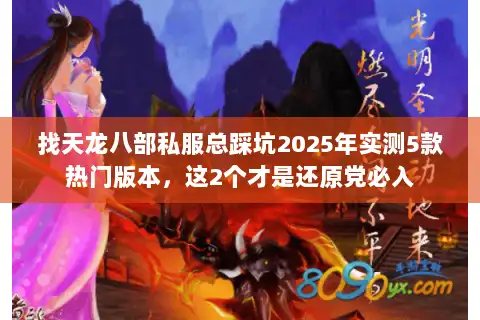 找天龙八部私服总踩坑2025年实测5款热门版本，这2个才是还原党必入