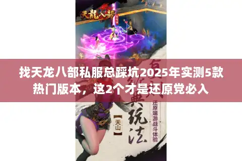 找天龙八部私服总踩坑2025年实测5款热门版本，这2个才是还原党必入