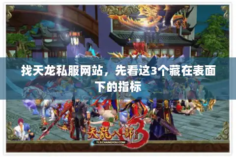 找天龙私服网站，先看这3个藏在表面下的指标
