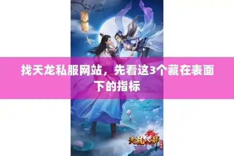 找天龙私服网站，先看这3个藏在表面下的指标