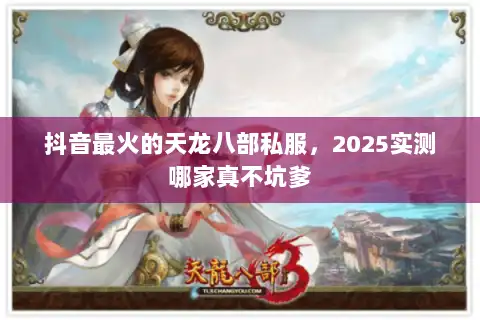 抖音最火的天龙八部私服，2025实测哪家真不坑爹