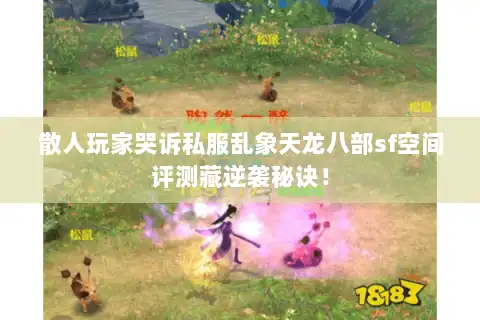 散人玩家哭诉私服乱象天龙八部sf空间评测藏逆袭秘诀！