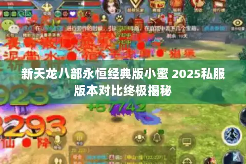 新天龙八部永恒经典版小蜜 2025私服版本对比终极揭秘 新天龙八部永恒经典版小蜜 2025私服版本对比终极揭秘