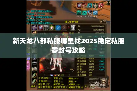 新天龙八部私服哪里找2025稳定私服零封号攻略