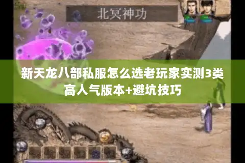 新天龙八部私服怎么选老玩家实测3类高人气版本+避坑技巧 新天龙八部私服怎么选老玩家实测3类高人气版本+避坑技巧