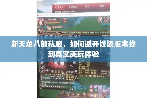 新天龙八部私服，如何避开垃圾版本找到真实爽玩体验