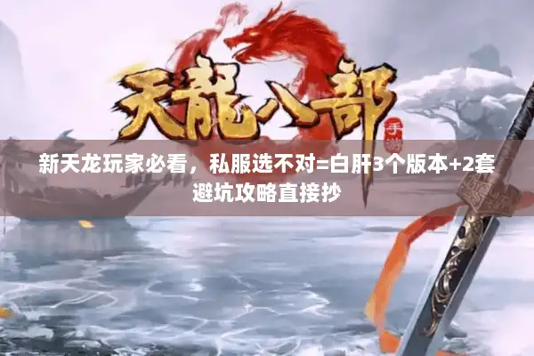 新天龙玩家必看，私服选不对=白肝3个版本+2套避坑攻略直接抄