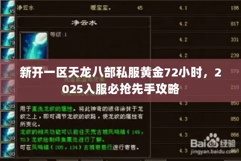 新开一区天龙八部私服黄金72小时，2025入服必抢先手攻略