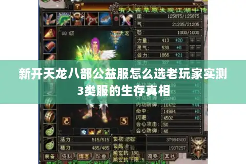 新开天龙八部公益服怎么选老玩家实测3类服的生存真相