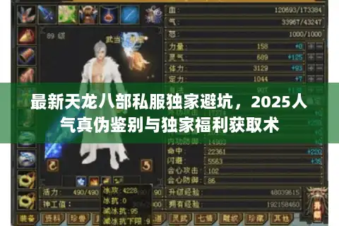 最新天龙八部私服独家避坑，2025人气真伪鉴别与独家福利获取术