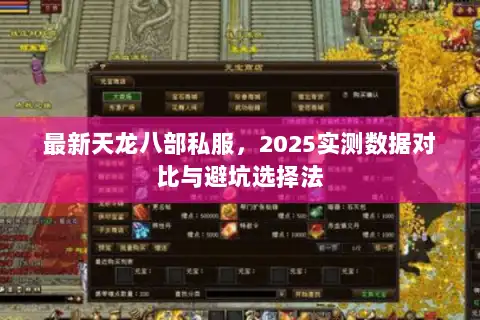 最新天龙八部私服，2025实测数据对比与避坑选择法