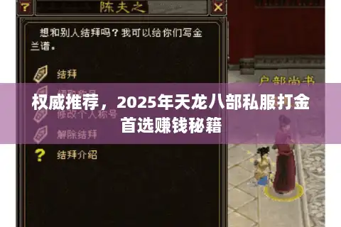 权威推荐，2025年天龙八部私服打金首选赚钱秘籍