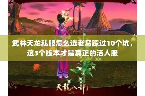 武林天龙私服怎么选老鸟踩过10个坑，这3个版本才是真正的活人服