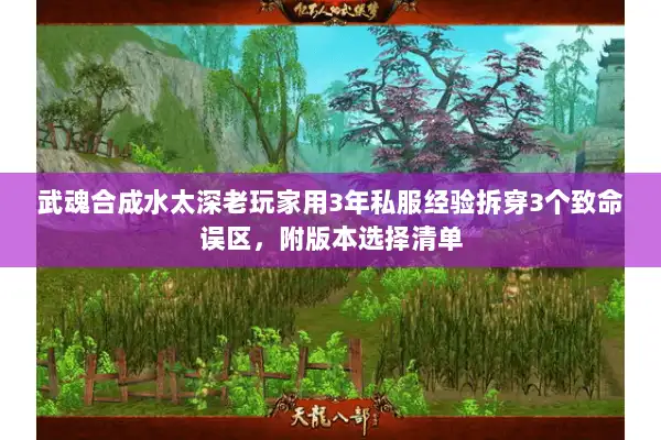 武魂合成水太深老玩家用3年私服经验拆穿3个致命误区，附版本选择清单