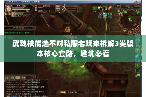 武魂技能选不对私服老玩家拆解3类版本核心套路，避坑必看