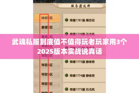 武魂私服到底值不值得玩老玩家用3个2025版本实战说真话