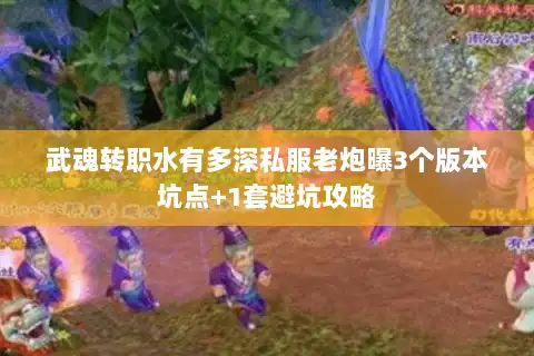 武魂转职水有多深私服老炮曝3个版本坑点+1套避坑攻略