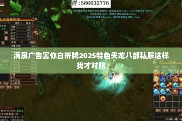 满屏广告害你白折腾2025特色天龙八部私服这样找才对路