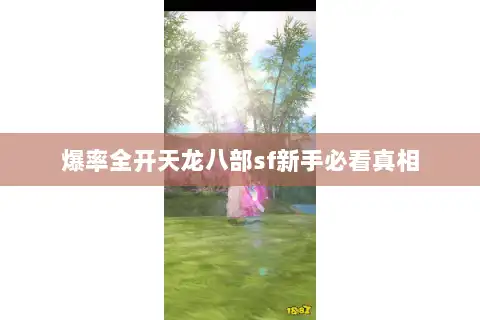 爆率全开天龙八部sf新手必看真相 爆率全开天龙八部sf新手必看真相