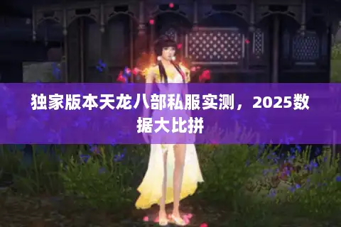 独家版本天龙八部私服实测，2025数据大比拼