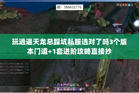玩逍遥天龙总踩坑私服选对了吗3个版本门道+1套进阶攻略直接抄