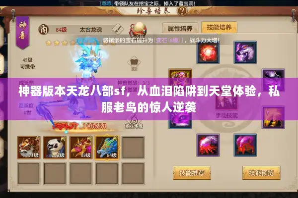 神器版本天龙八部sf，从血泪陷阱到天堂体验，私服老鸟的惊人逆袭