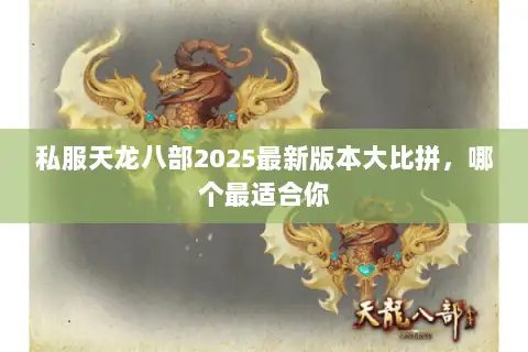 私服天龙八部2025最新版本大比拼,哪个最适合你 私服天龙八部2025最新版本大比拼,哪个最适合你