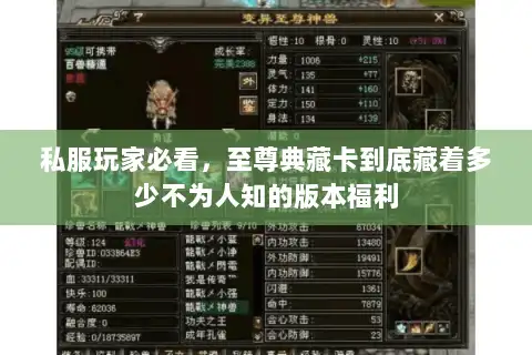 私服玩家必看，至尊典藏卡到底藏着多少不为人知的版本福利