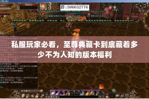 私服玩家必看，至尊典藏卡到底藏着多少不为人知的版本福利