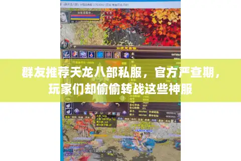 群友推荐天龙八部私服,官方严查期,玩家们却偷偷转战这些神服 群友推荐天龙八部私服,官方严查期,玩家们却偷偷转战这些神服