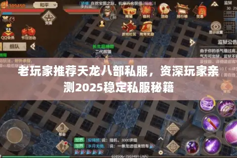 老玩家推荐天龙八部私服，资深玩家亲测2025稳定私服秘籍