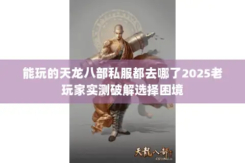 能玩的天龙八部私服都去哪了2025老玩家实测破解选择困境