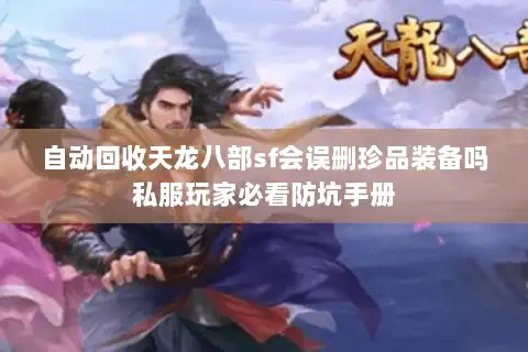 自动回收天龙八部sf会误删珍品装备吗私服玩家必看防坑手册