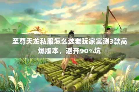 至尊天龙私服怎么选老玩家实测3款高爆版本，避开90%坑