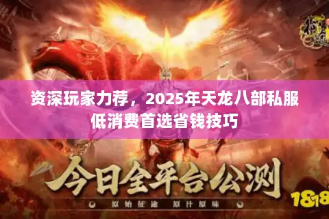 资深玩家力荐，2025年天龙八部私服低消费首选省钱技巧