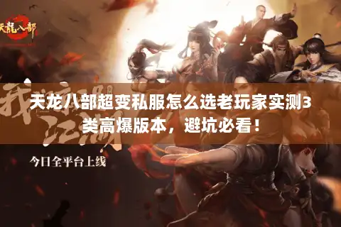 天龙八部超变私服怎么选老玩家实测3类高爆版本，避坑必看！