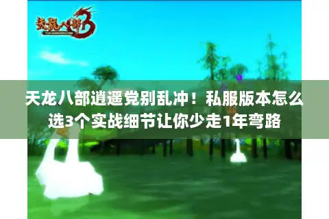 天龙八部逍遥党别乱冲!私服版本怎么选3个实战细节让你少走1年弯路 天龙八部逍遥党别乱冲!私服版本怎么选3个实战细节让你少走1年弯路