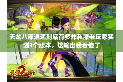 天龙八部逍遥到底有多炸私服老玩家实测3个版本，这输出我看傻了