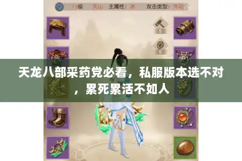 天龙八部采药党必看，私服版本选不对，累死累活不如人