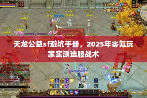 天龙公益sf避坑手册，2025年零氪玩家实测选服战术