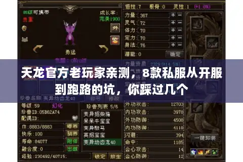 天龙官方老玩家亲测，8款私服从开服到跑路的坑，你踩过几个