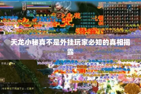 天龙小秘真不是外挂玩家必知的真相揭露