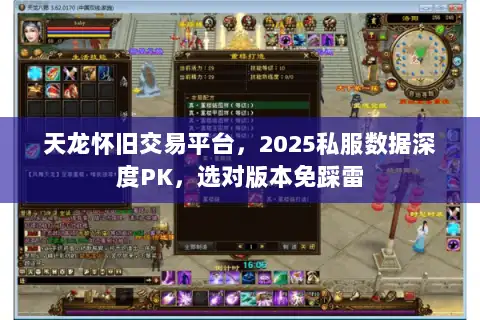 天龙怀旧交易平台，2025私服数据深度PK，选对版本免踩雷