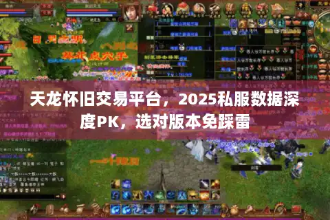 天龙怀旧交易平台，2025私服数据深度PK，选对版本免踩雷