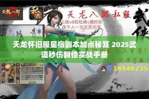 天龙怀旧服星宿副本加点秘笈 2025武道秒伤翻倍实战手册