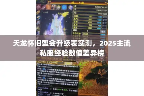 天龙怀旧盟会升级表实测,2025主流私服经验数值差异榜 天龙怀旧盟会升级表实测,2025主流私服经验数值差异榜