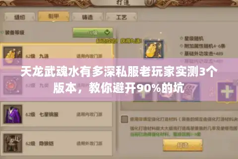 天龙武魂水有多深私服老玩家实测3个版本，教你避开90%的坑