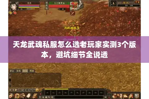 天龙武魂私服怎么选老玩家实测3个版本，避坑细节全说透